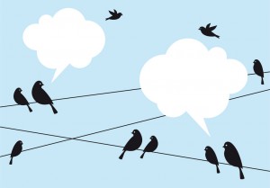 birds in the sky, vector background